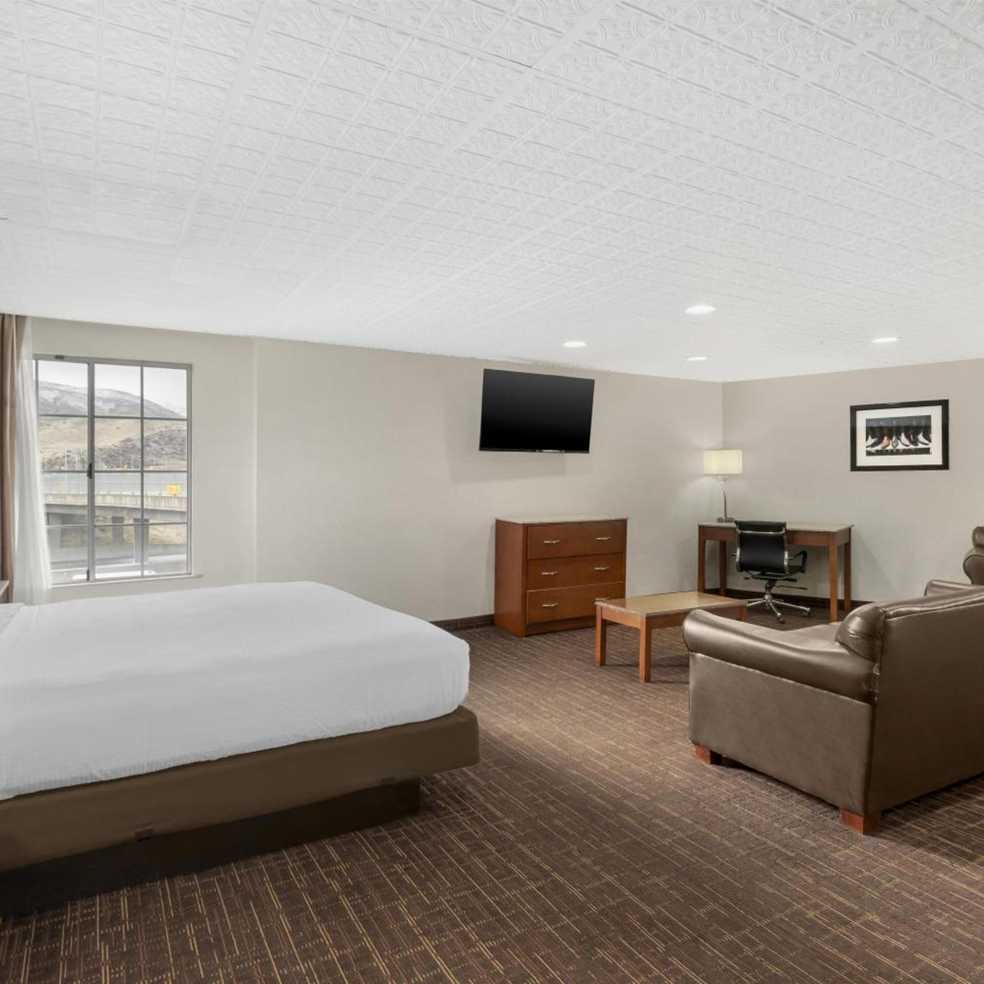 Mini, Suite, King Bed
