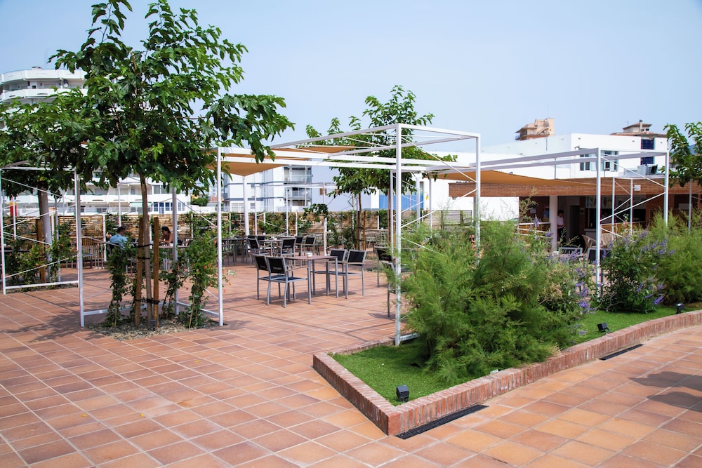 Prestige Sant Marc 26/50