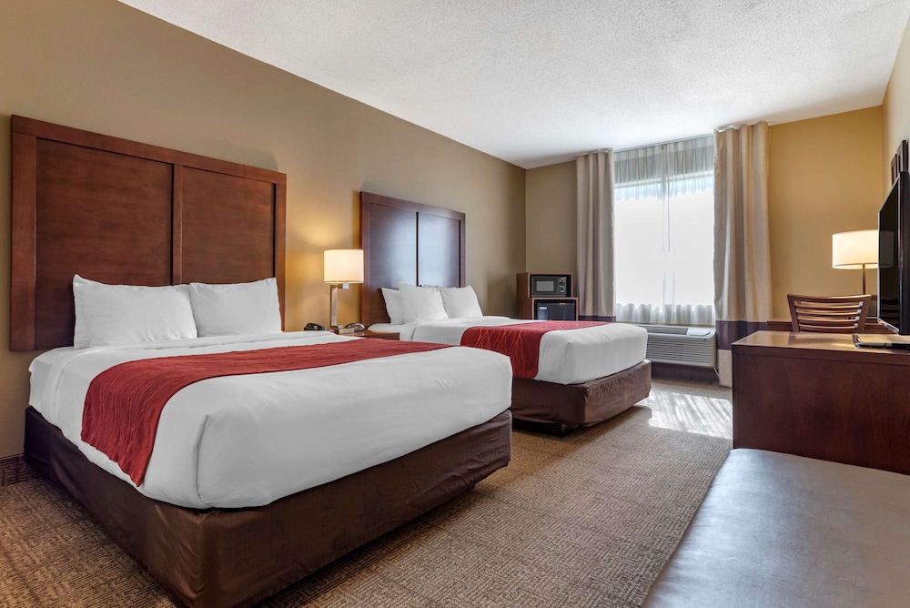Comfort Inn Amite City 15/68