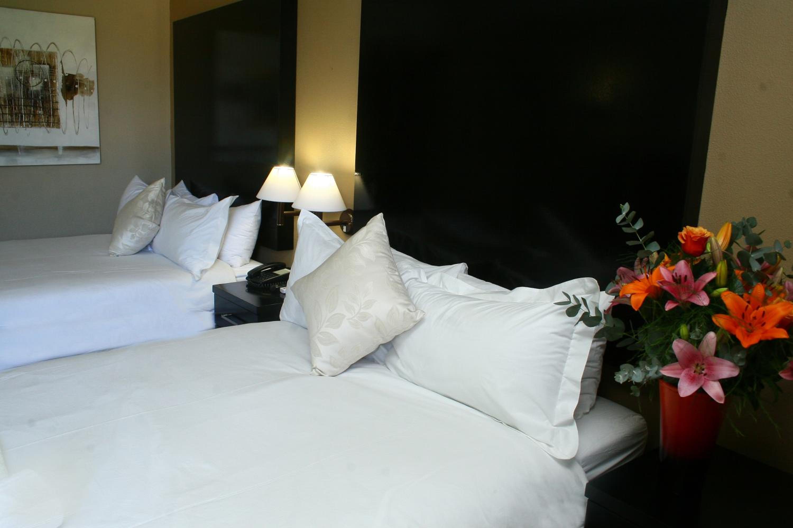 Oudtshoorn Inn Hotel And Conferencing Centre 12/37