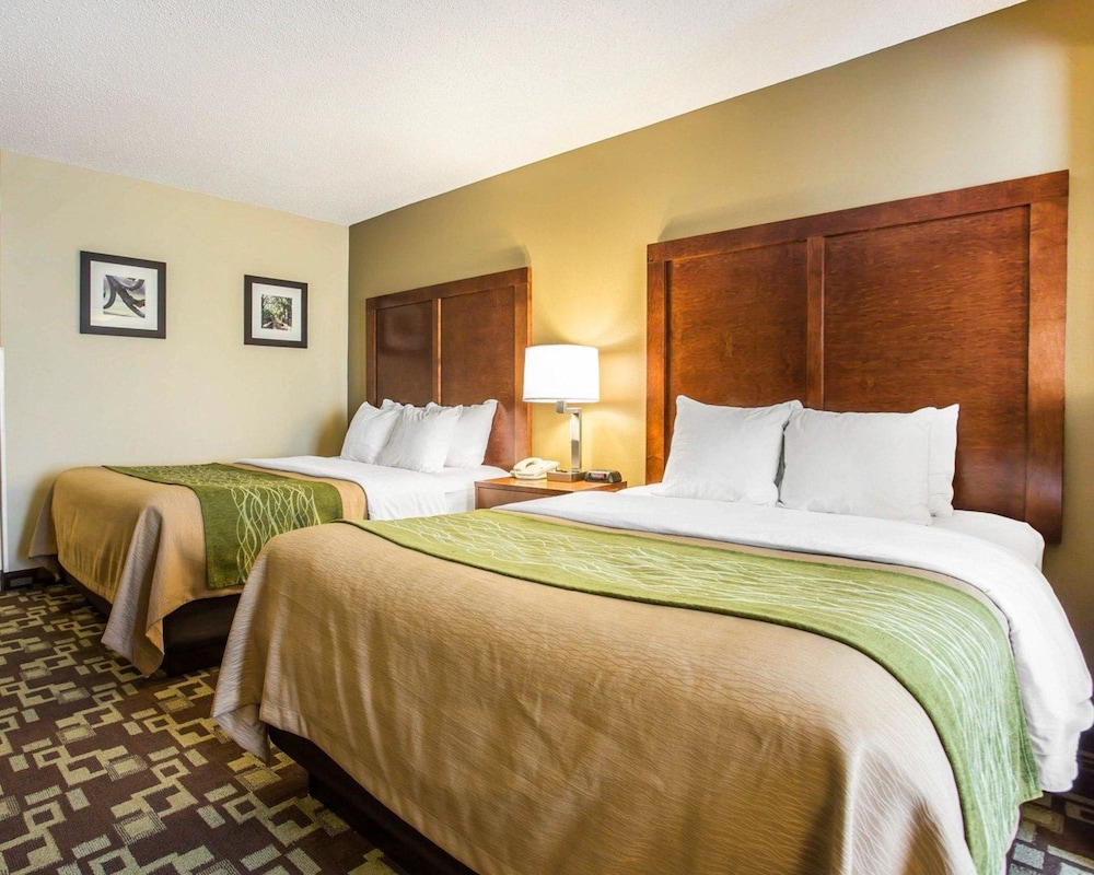 Comfort Inn & Suites Walterboro I-95 31/63