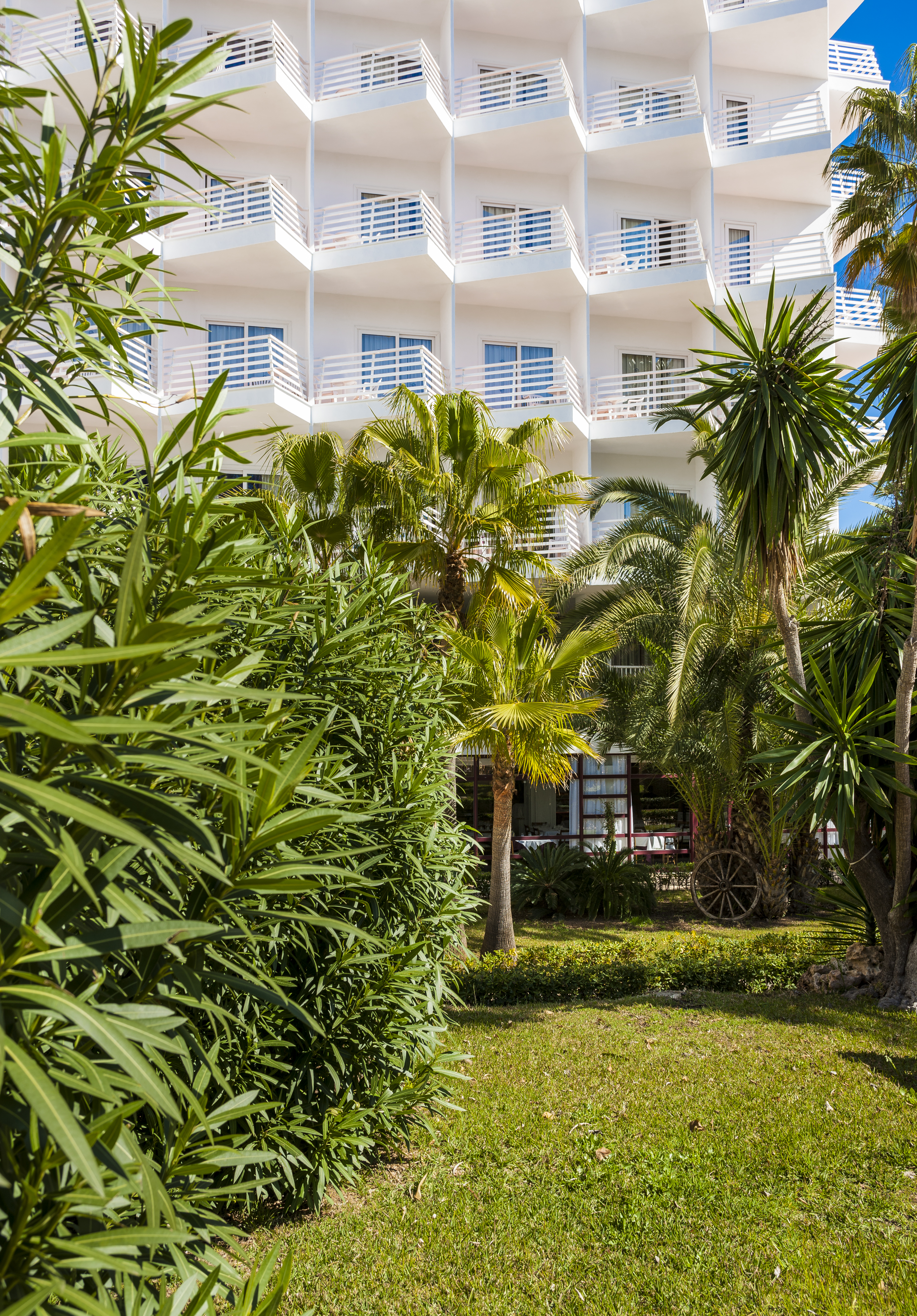 Globales Palmanova 35/40