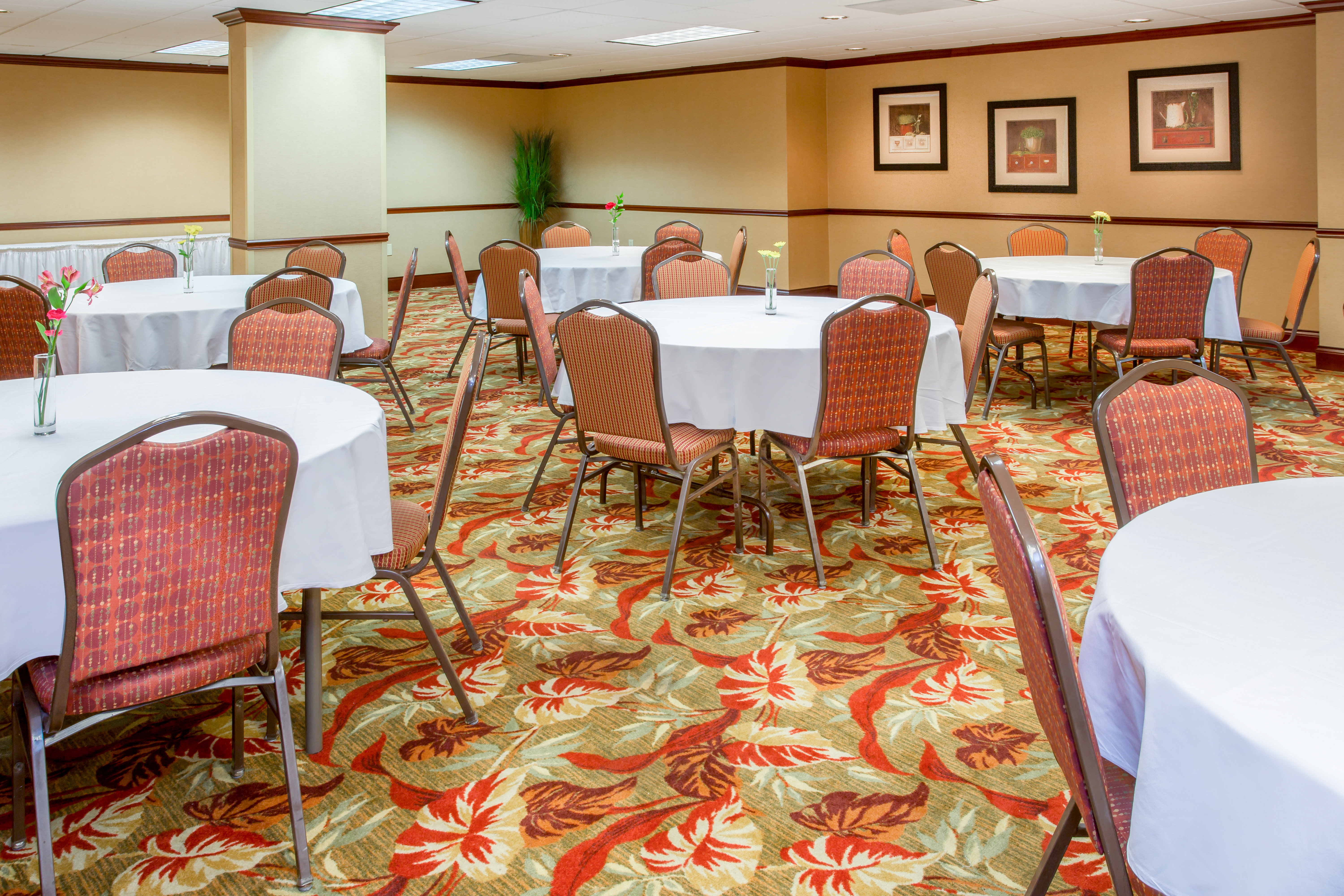 Holiday Inn Express Hotel Suites Bloomington 35/49