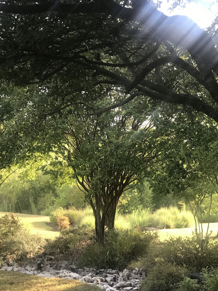The Plantation House Boutique Inn 35/50