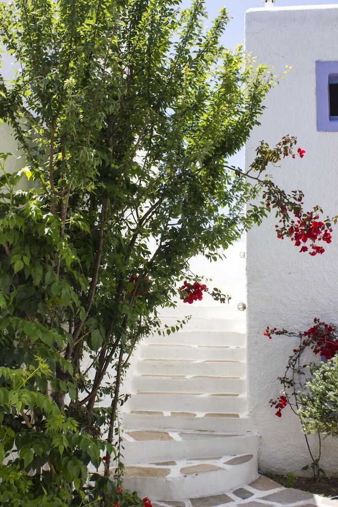 Naxos Holidays 54/64