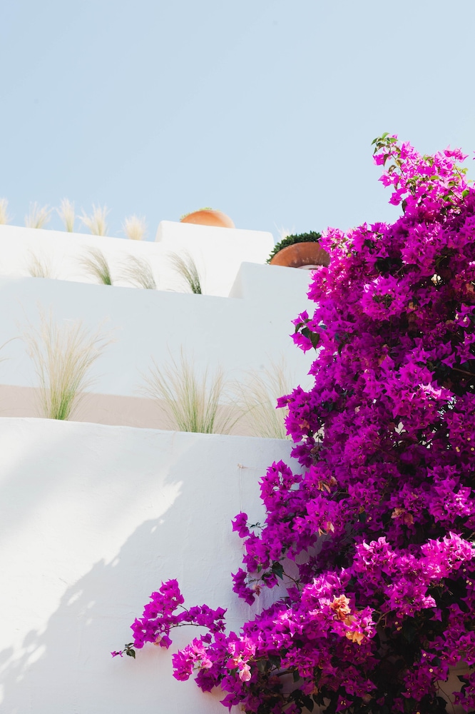 Hotel Ritual de Terra & Spa 50/57