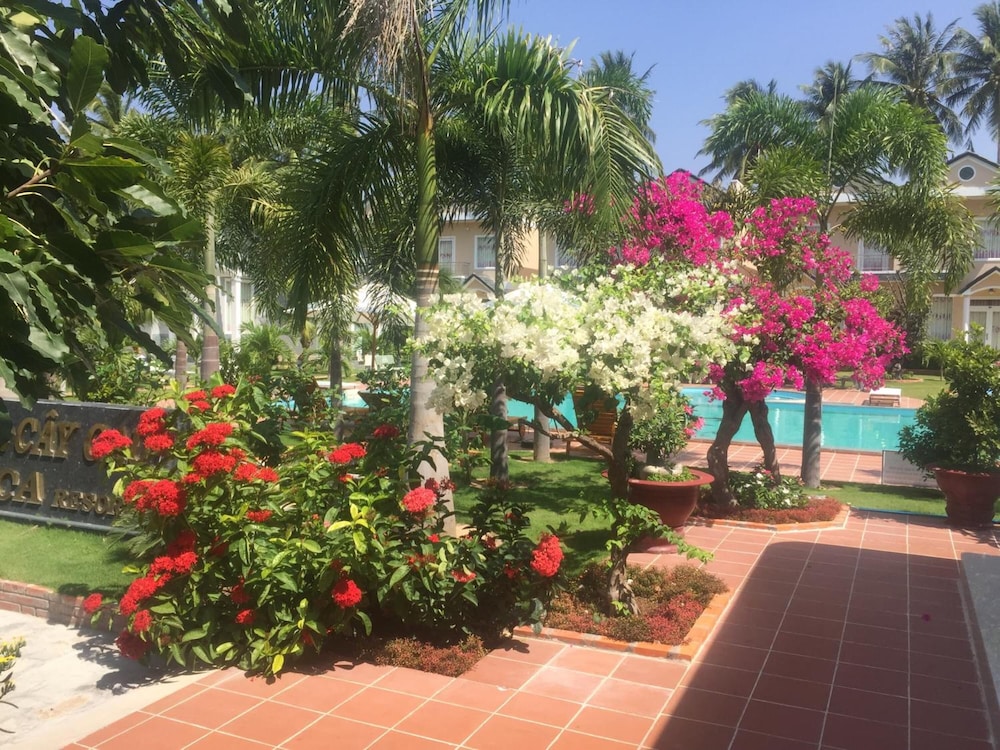 Areca Resort Cay Cau 15/41
