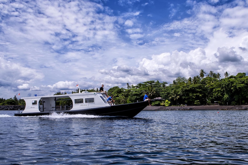 Murex Manado Dive Resort 33/50