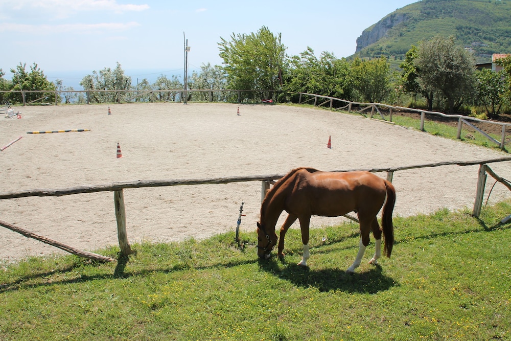 Agriturismo Piccolo Paradiso 48/74