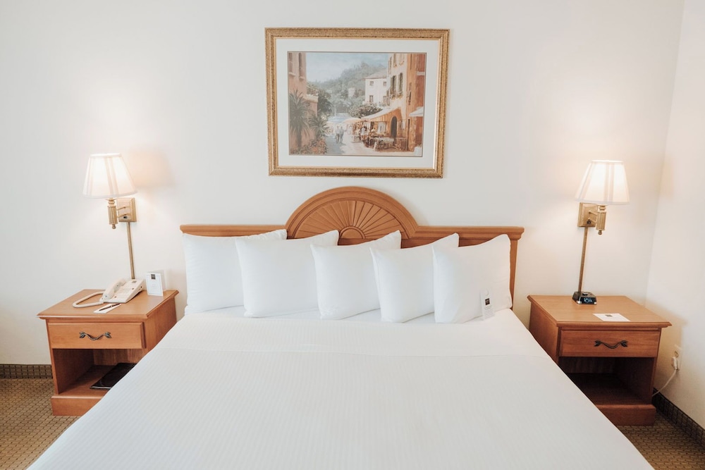 Ann Arbor Regent Hotel Suites 28/55