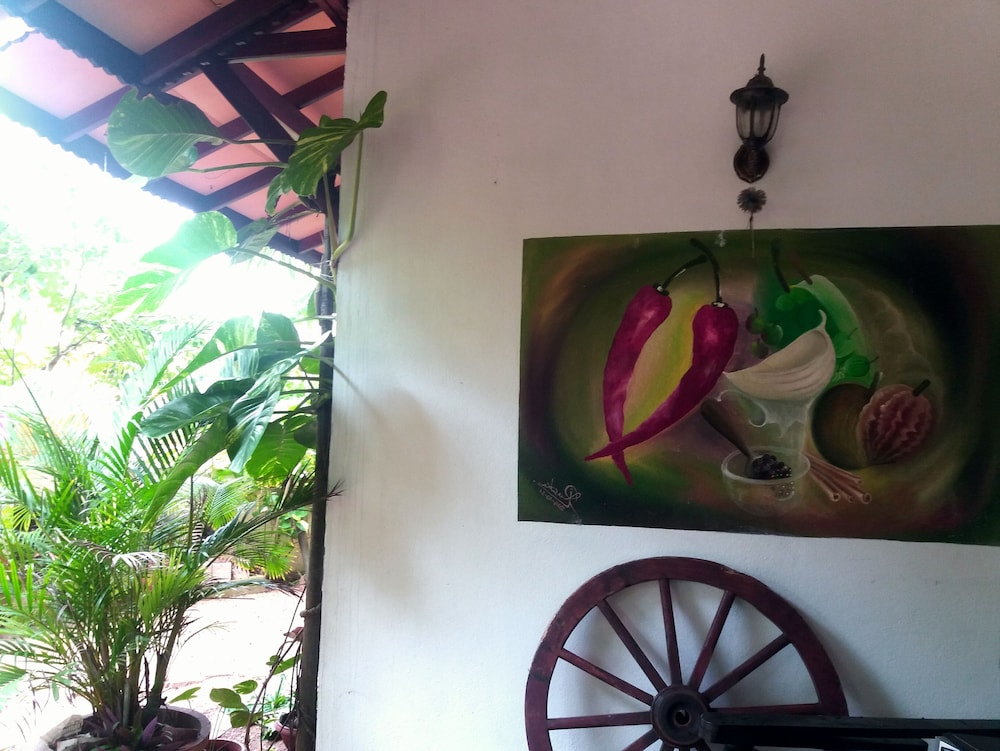 Peacock Wings Guest House photo3