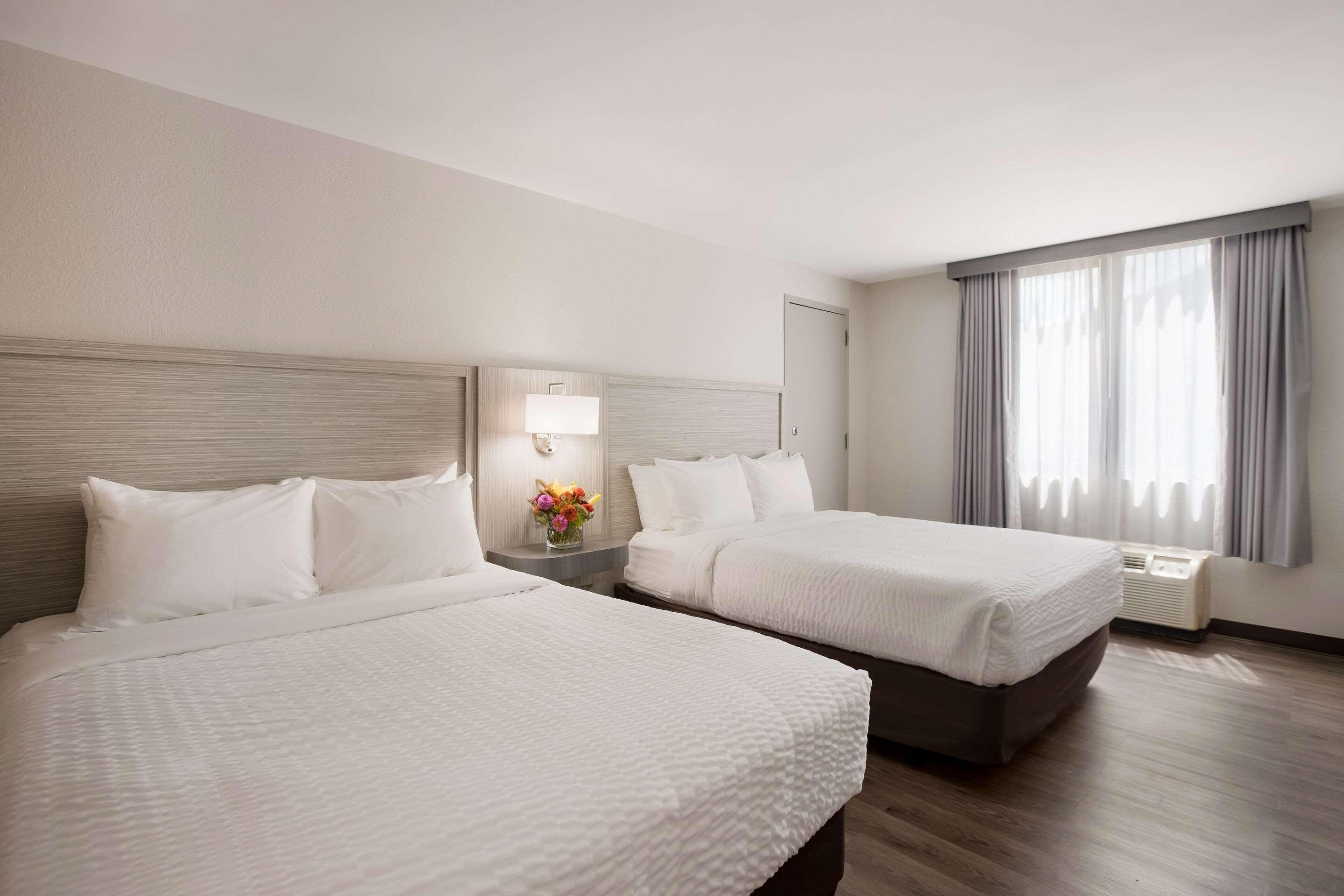 Room, 2 Queen Beds