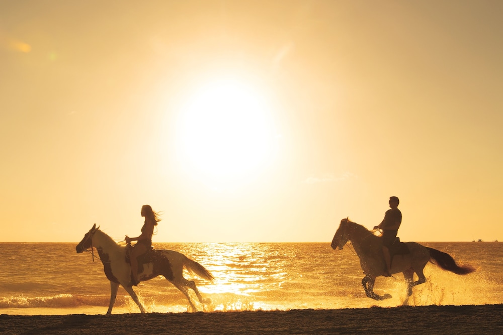 Secrets Royal Beach Punta Cana - Adults Only 36/50