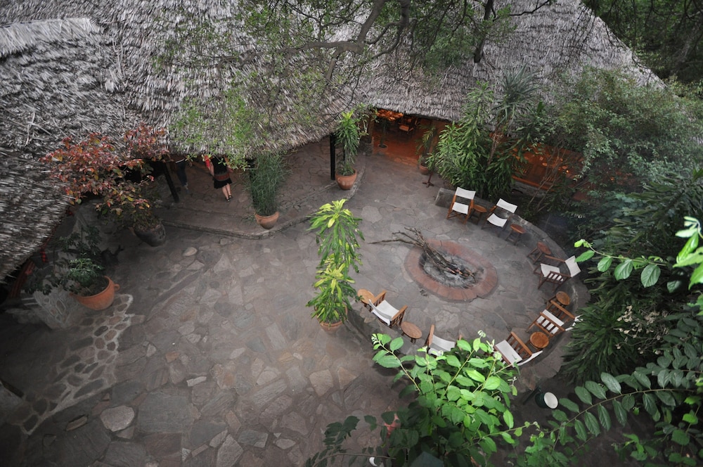 Fig Tree Camp 43/45