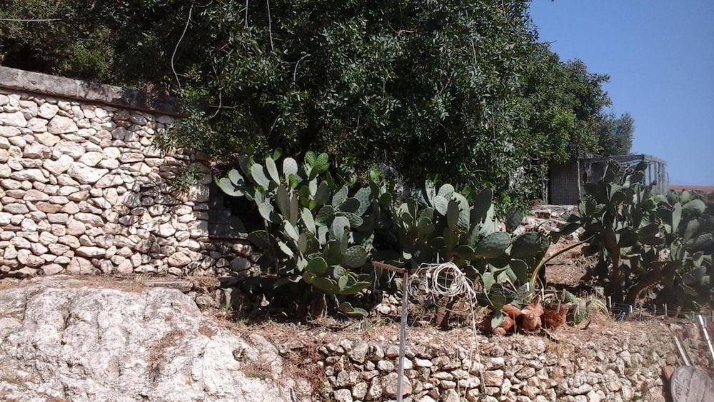 B&B La Ginestra 44/50