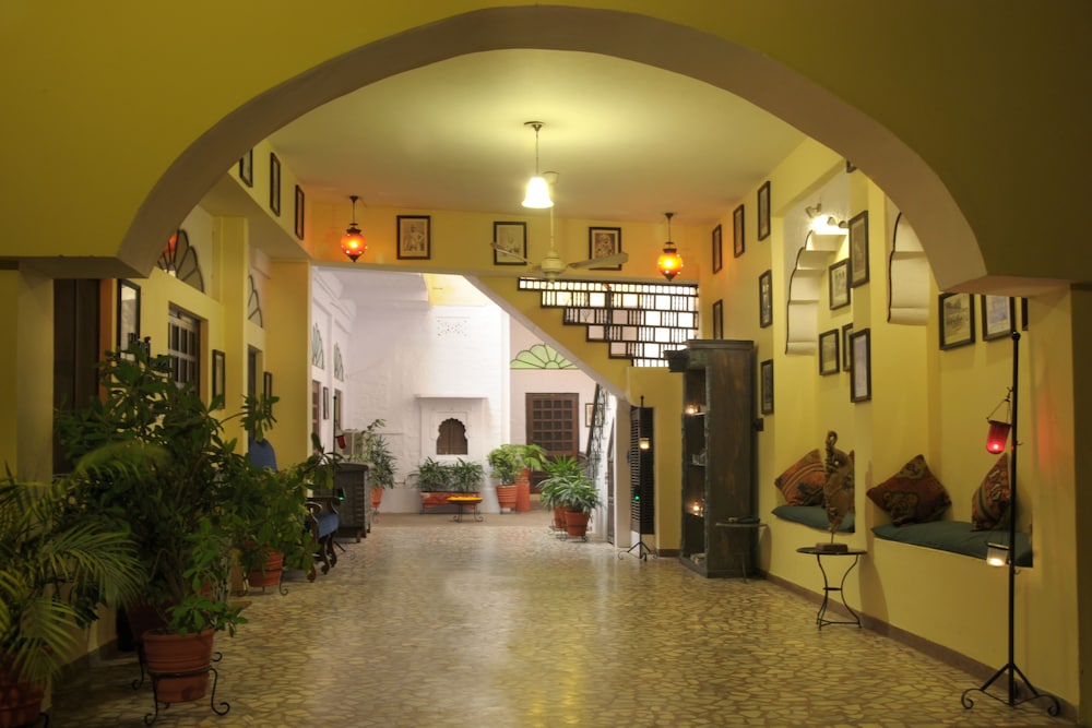 HAVELI INN PAL 10/50