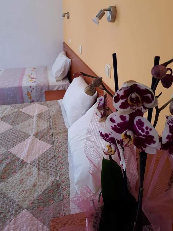 Chrysanthi Studios Apartments Pefkos 7/28