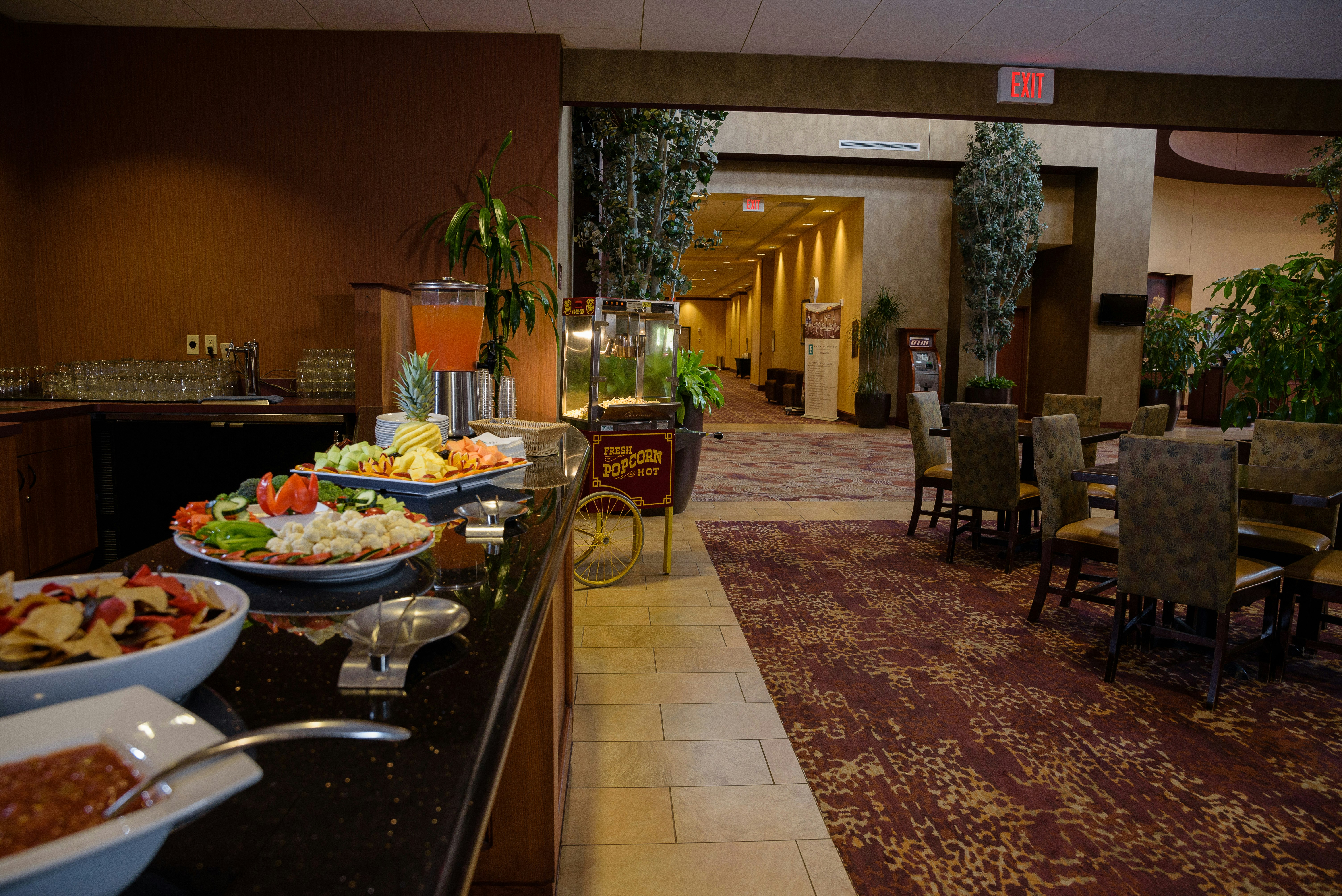 Embassy Suites by Hilton Minneapolis North 49/72