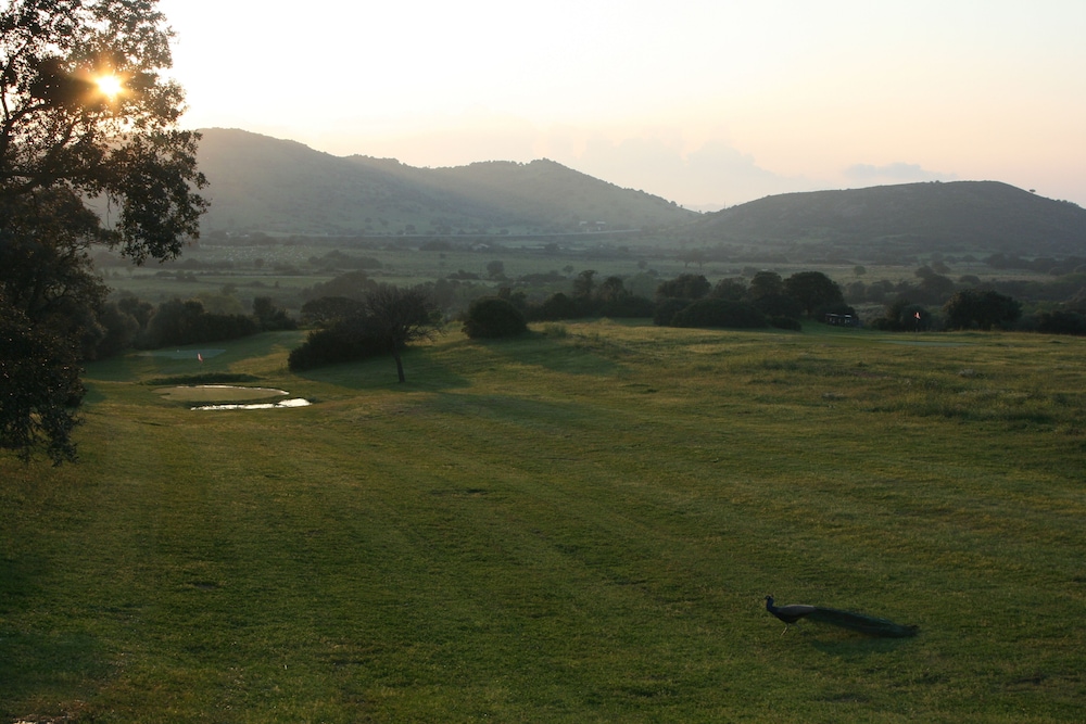 surroundings