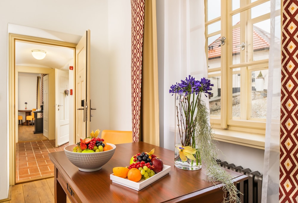 Bellevue Hotel Karlov 46/66