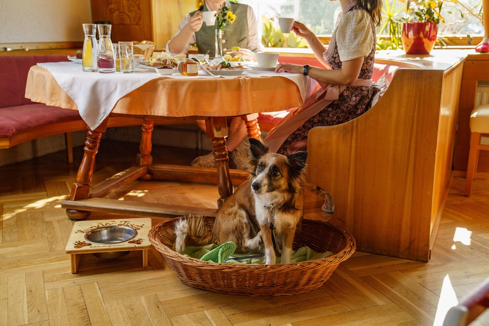HOTEL ALMFRIEDEN 35/50