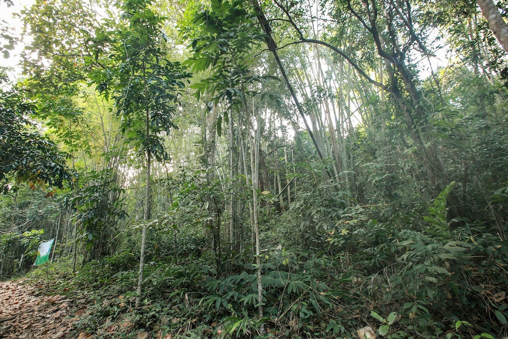 Khao Hin Tang Resort 33/40