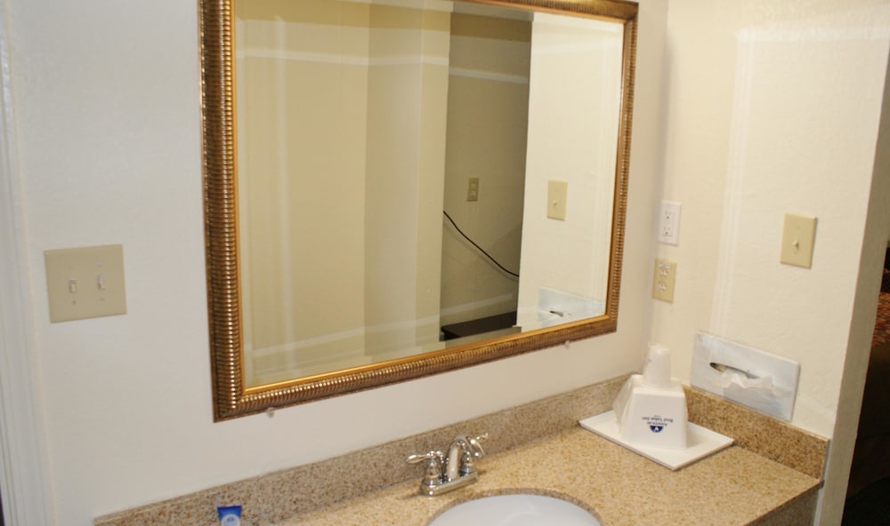 Americas Best Value Inn Ft Jackson 15/32