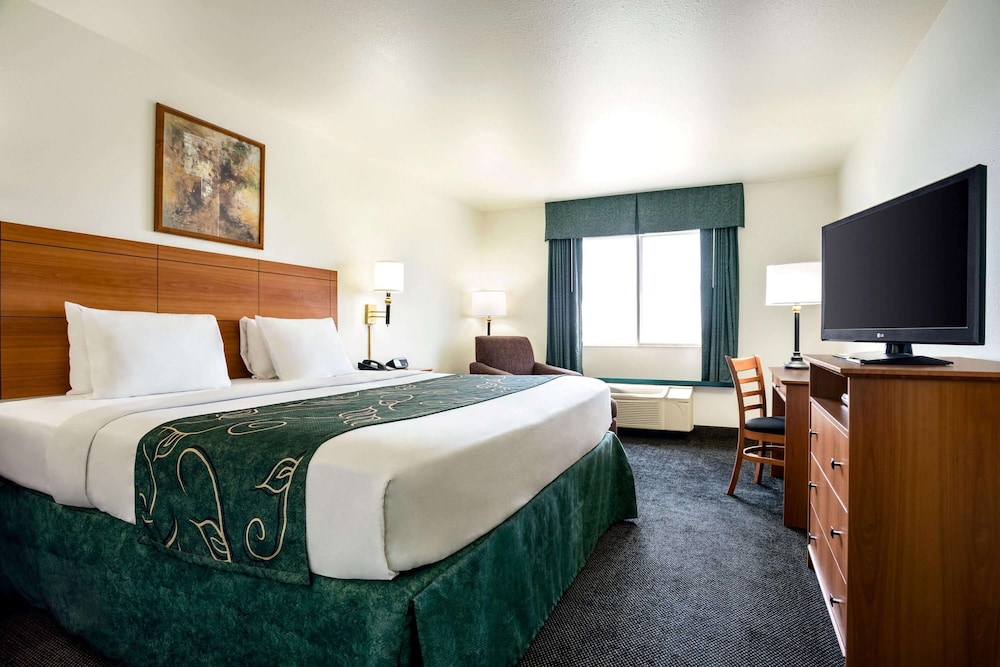 Room, Queen Bed