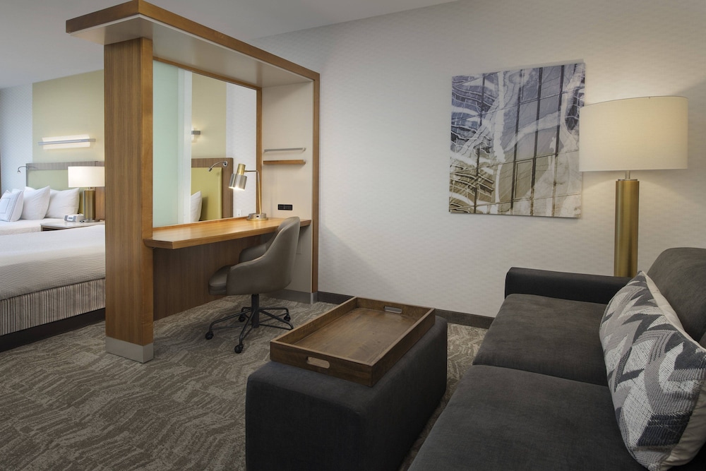 Springhill Suites Alexandria 17/31