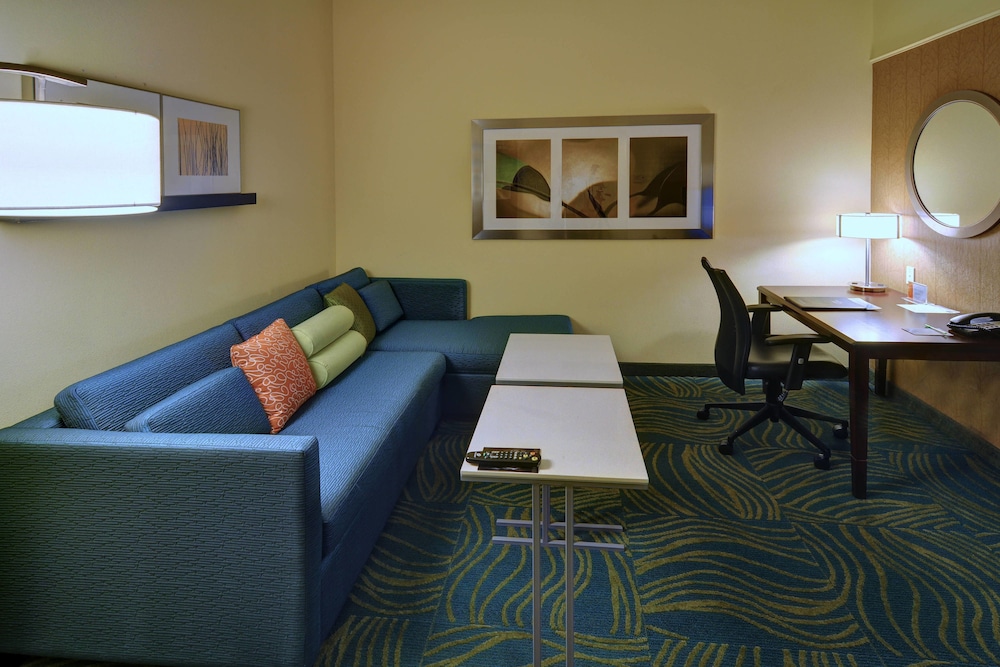 Springhill Suites By Marriott Dfw Airport East Las Colinas 19/28