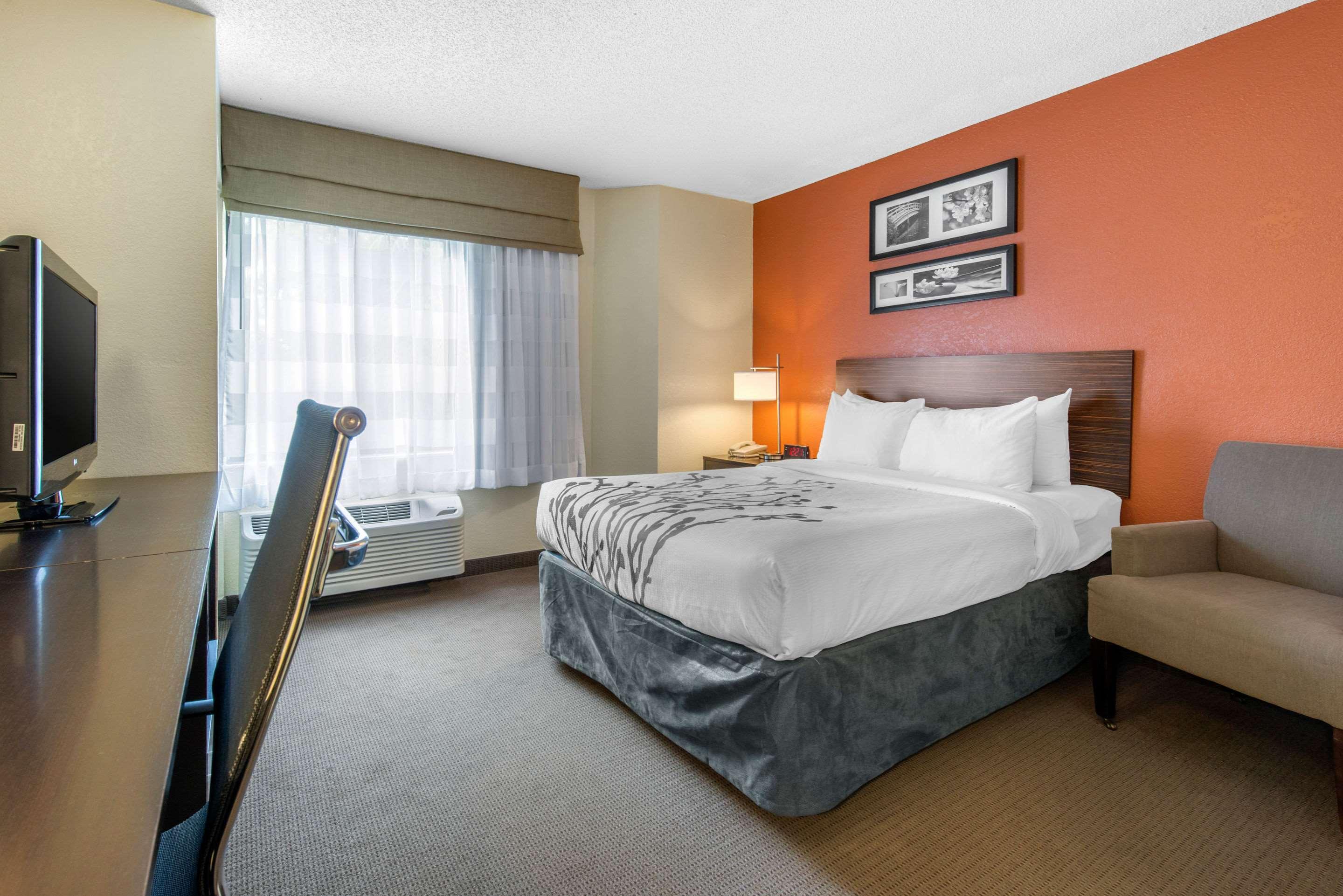 ROOM, DOUBLE BED