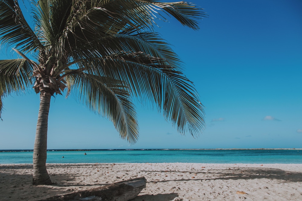 Blue Residences Aruba 78/83