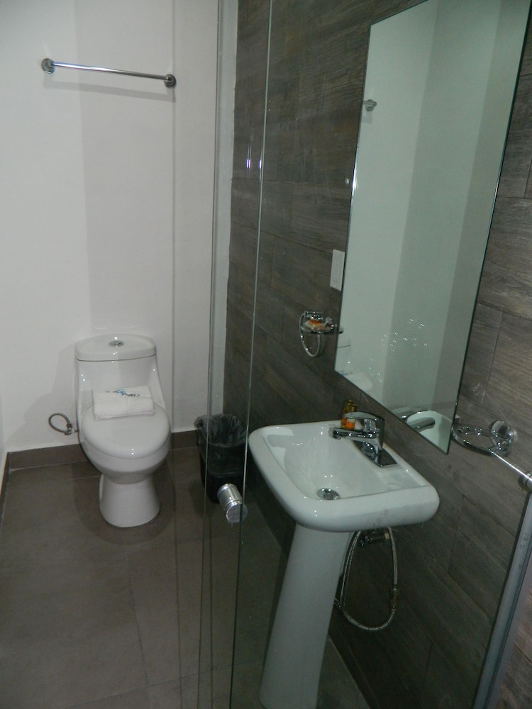 Hotel Flamingo Merida 30/51