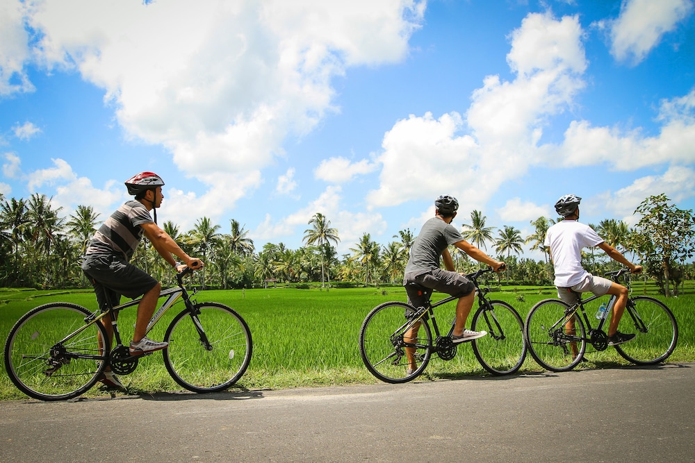 Ubud Wana Resort 66/70