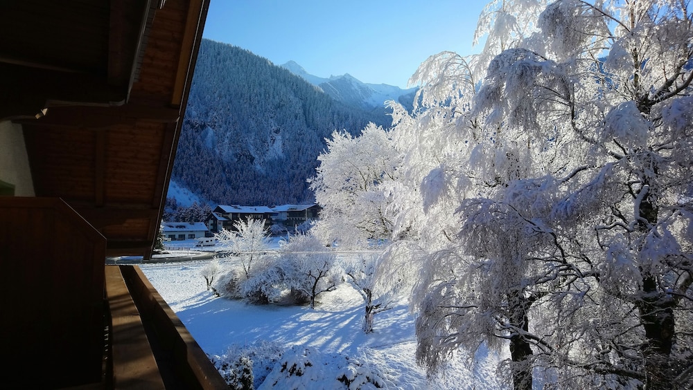 Pension Birkenhof 23/50