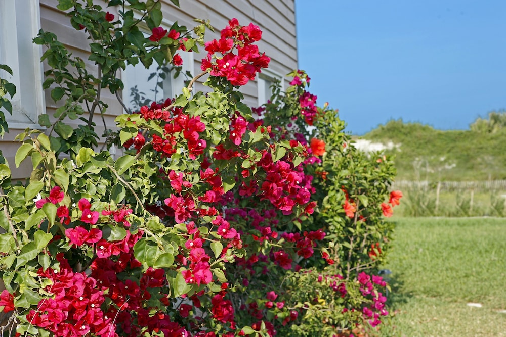 Beachfront Bed & Breakfast 39/46