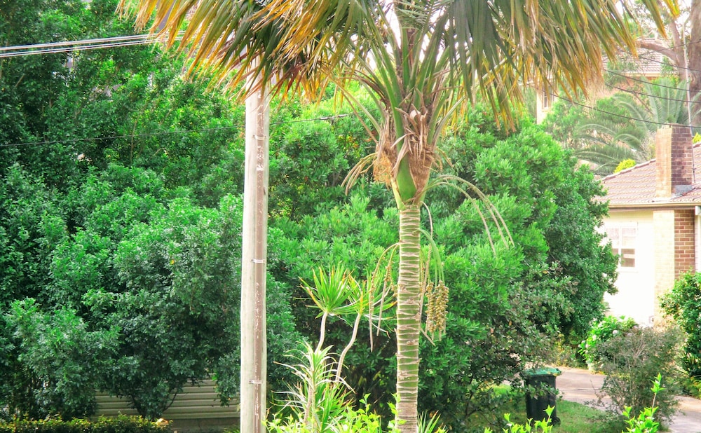 GOSFORD PALMS MOTOR INN 56/62