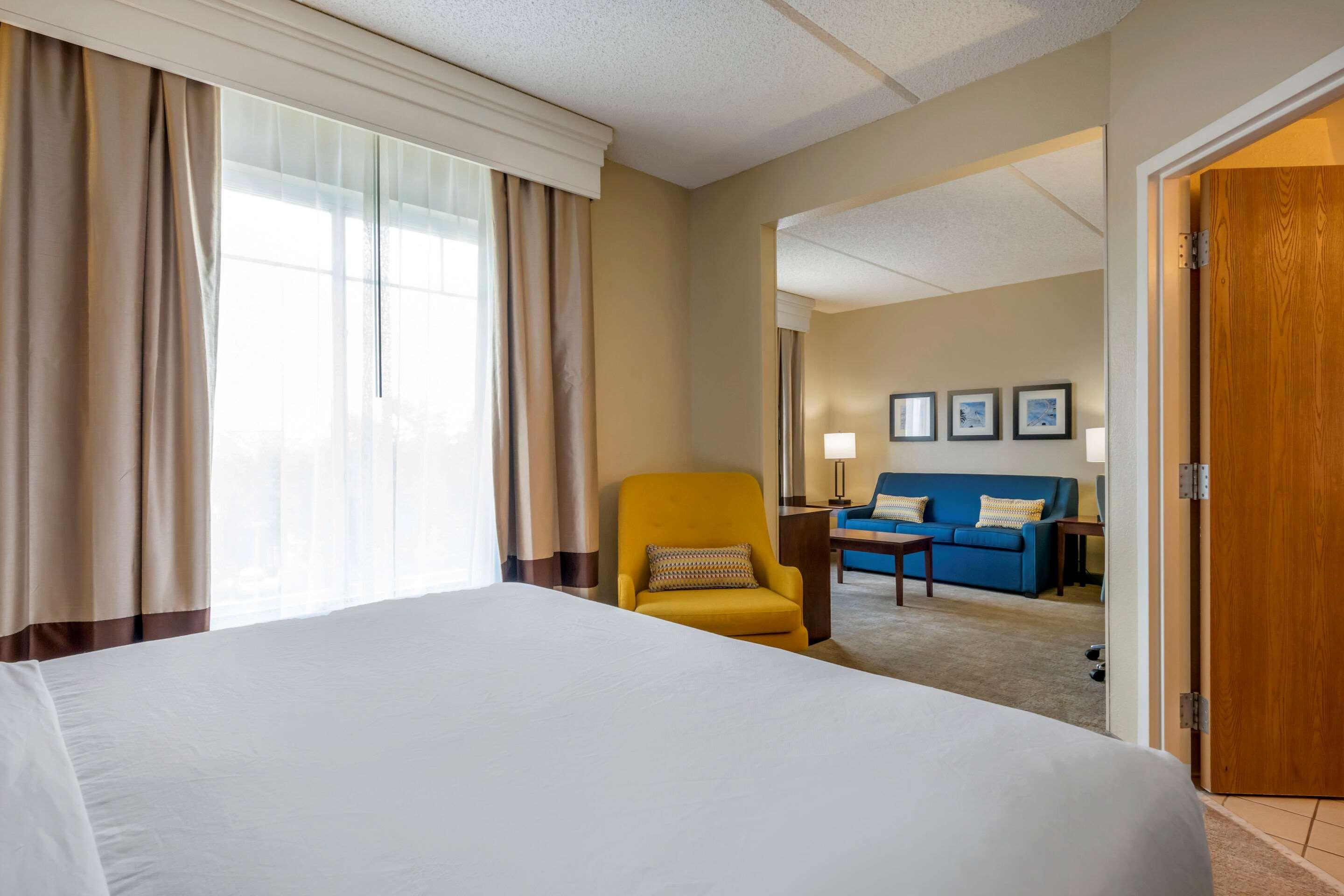 SUITE, KING BED