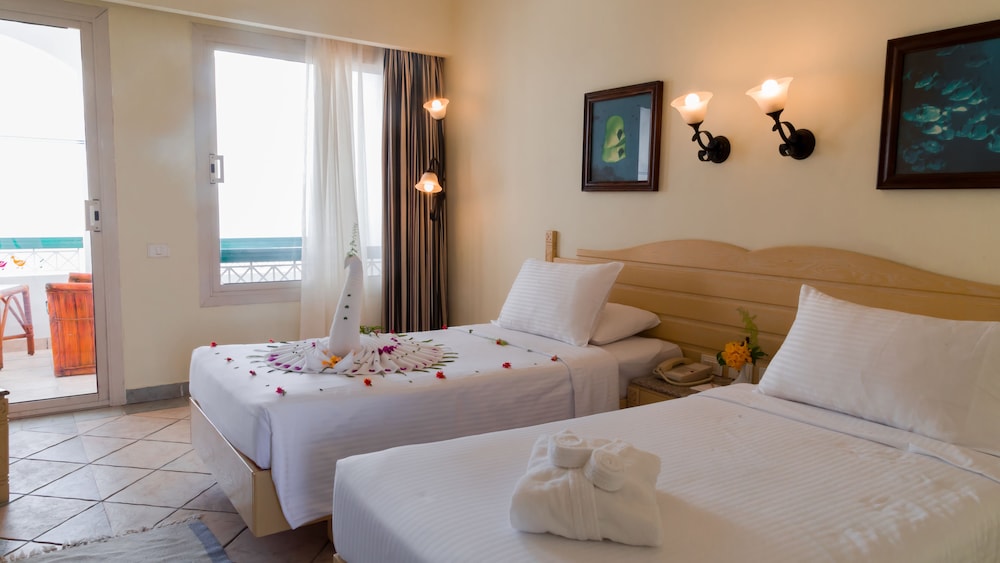 Invidia Coral Beach Tiran 42/137