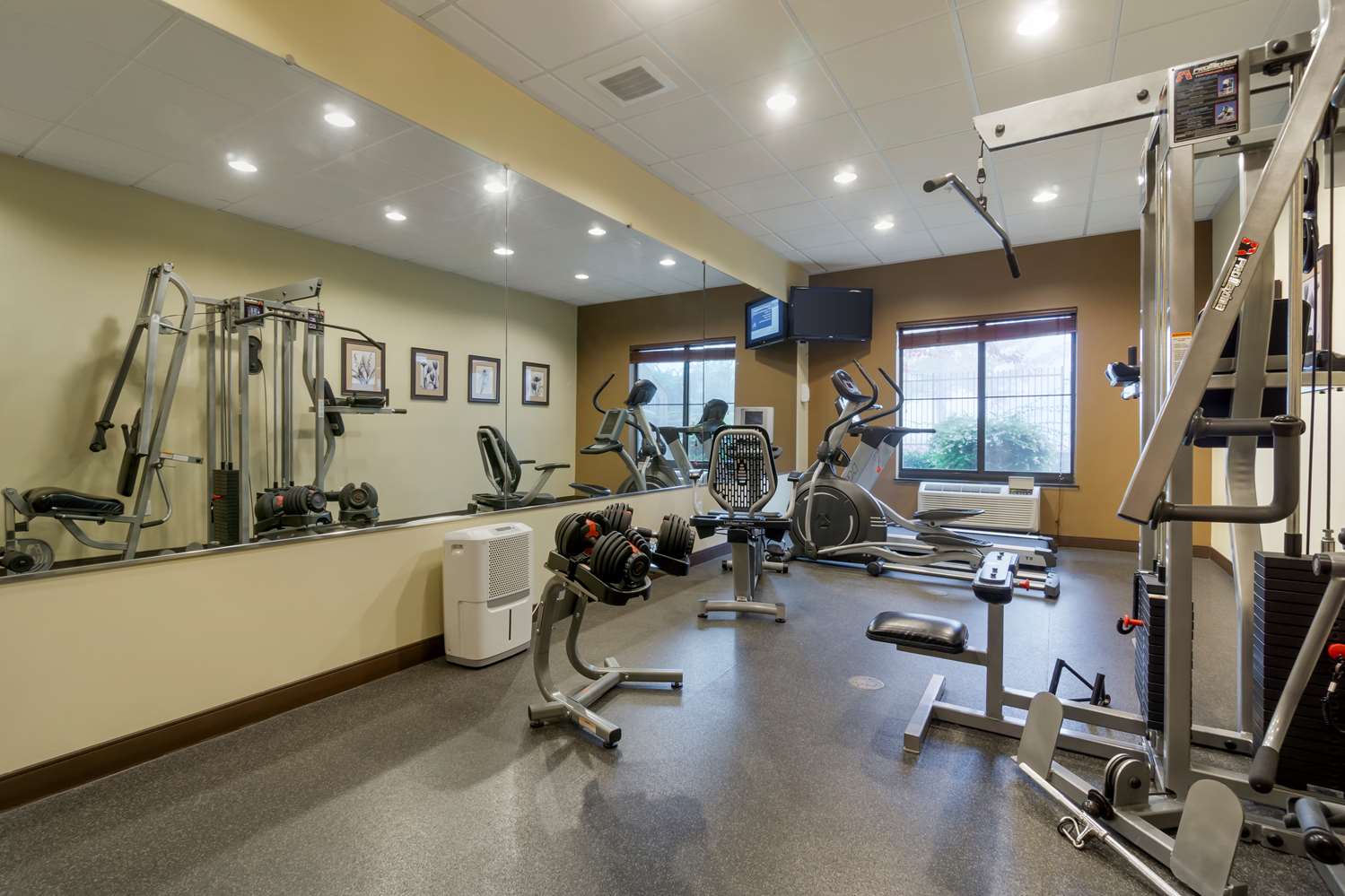 Best Western Plus Lacey Inn & Suites 5/9