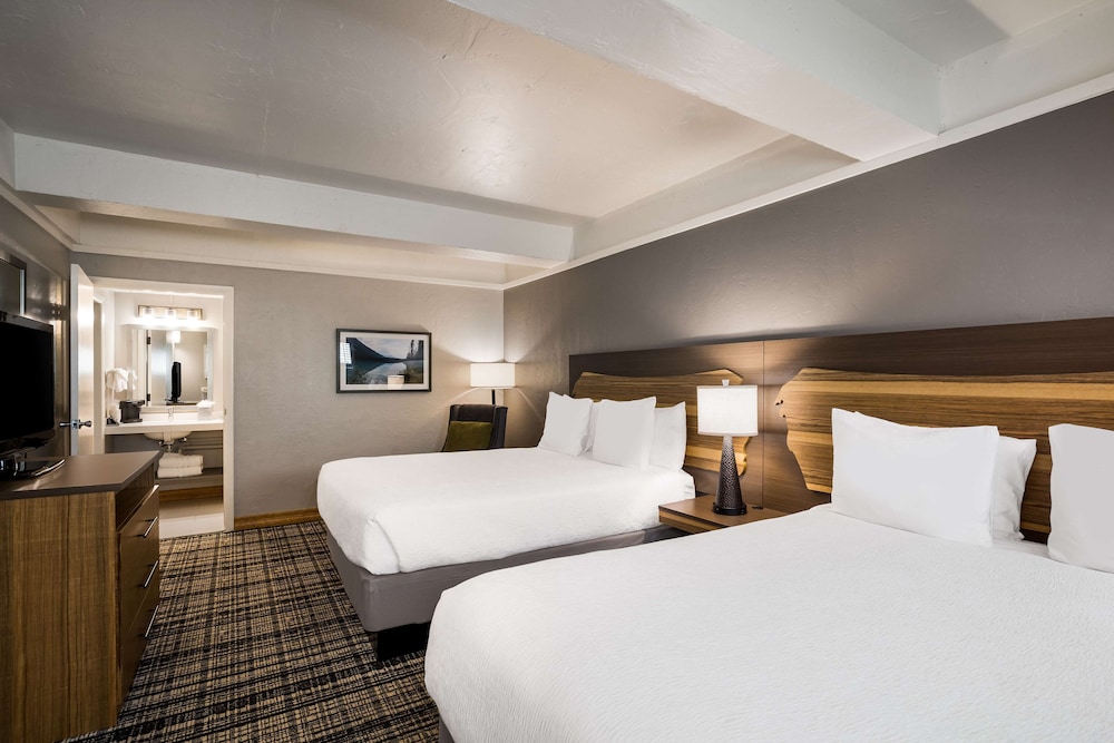 Suite, 4 Queen Beds, Sofa