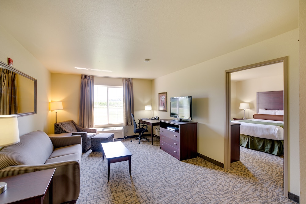 Cobblestone Inn & Suites Durand 40/45