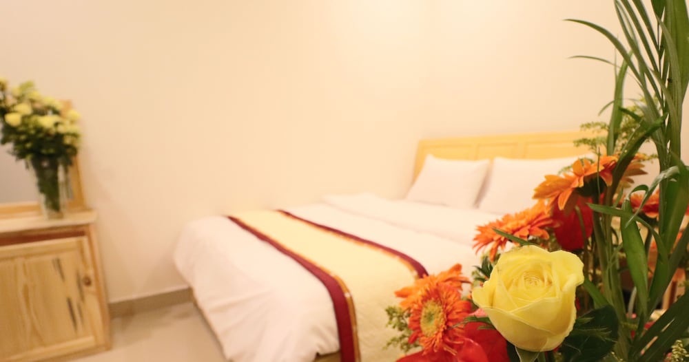 Mai Hoang Hotel 36/70