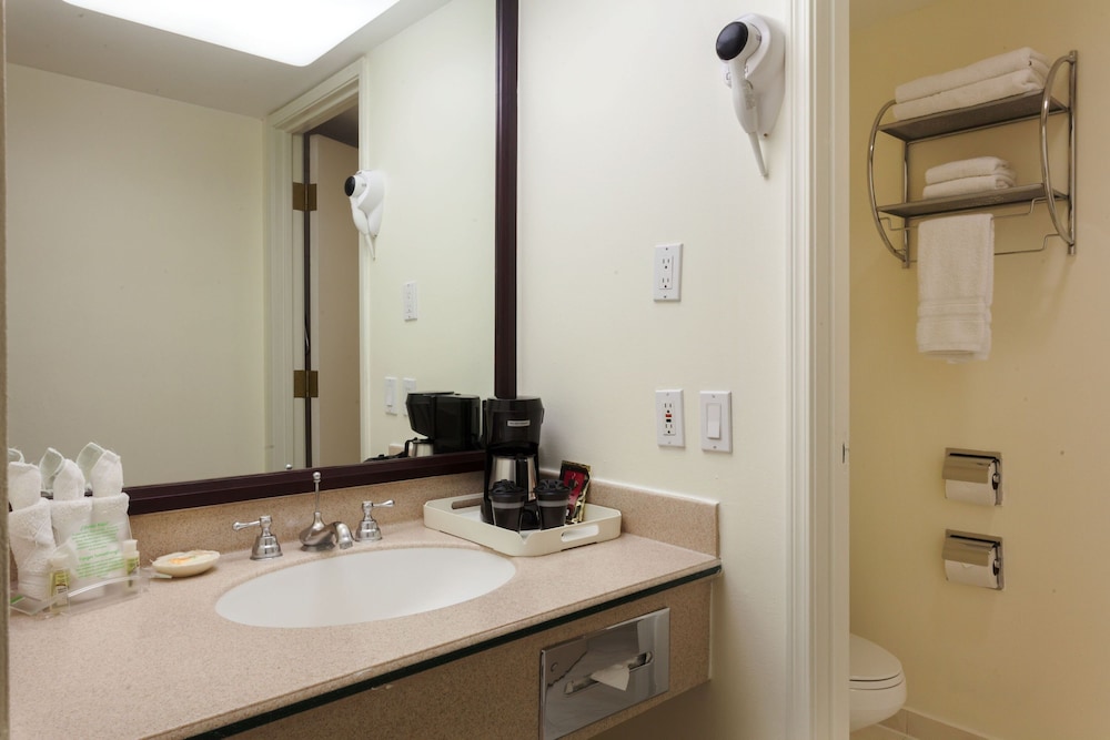 Holiday Inn San Salvador An Ihg Hotel 14/60