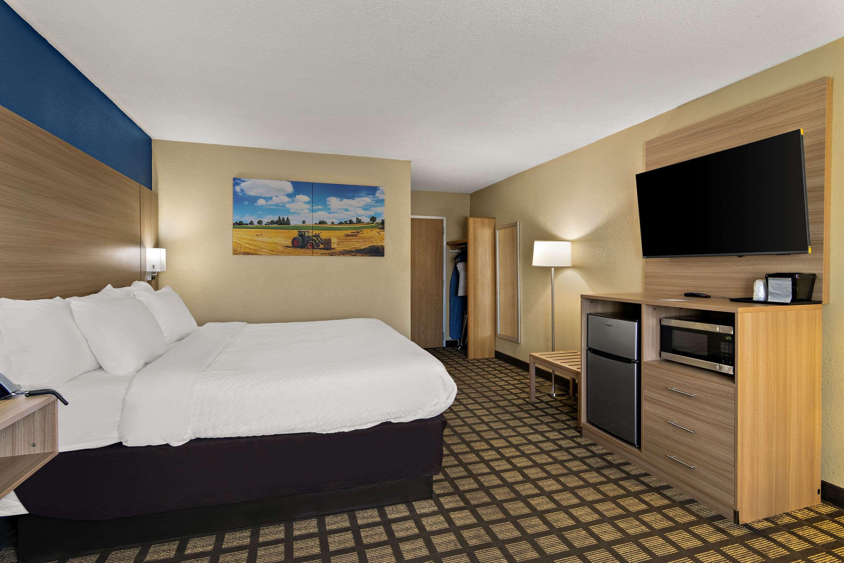 Room, King Bed