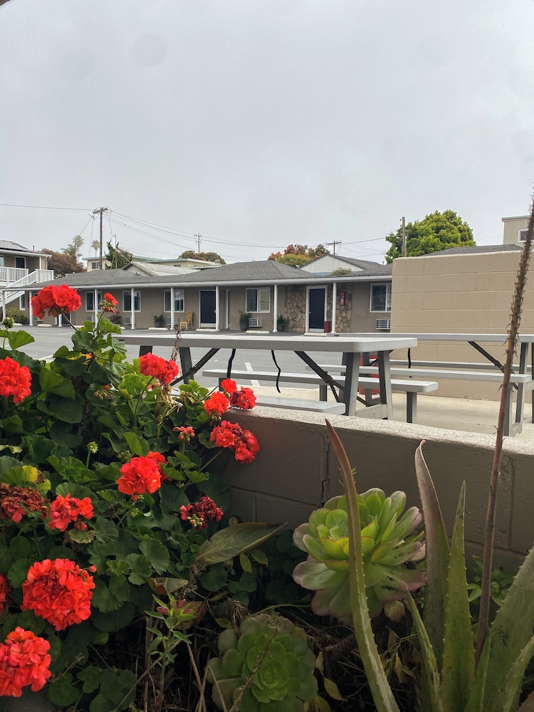Rockview Inn And Suites 5/54