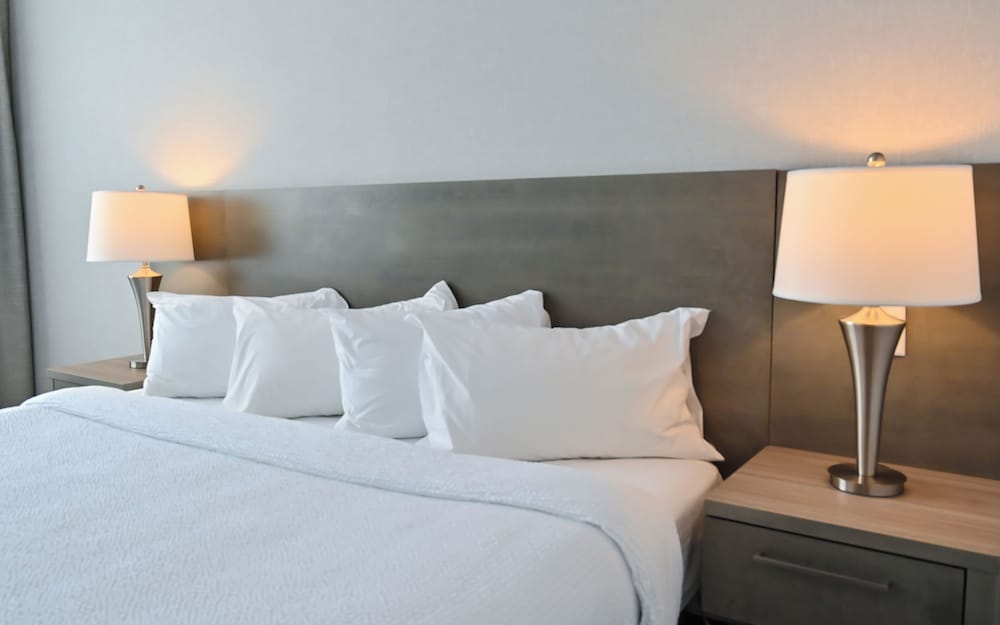 Repotel Levis 29/48