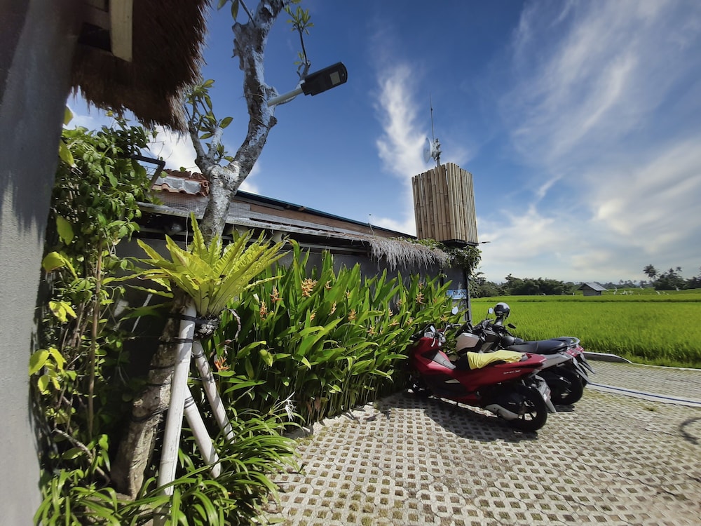 Villa Alisha Pererenan Canggu by ZUZU 44/56