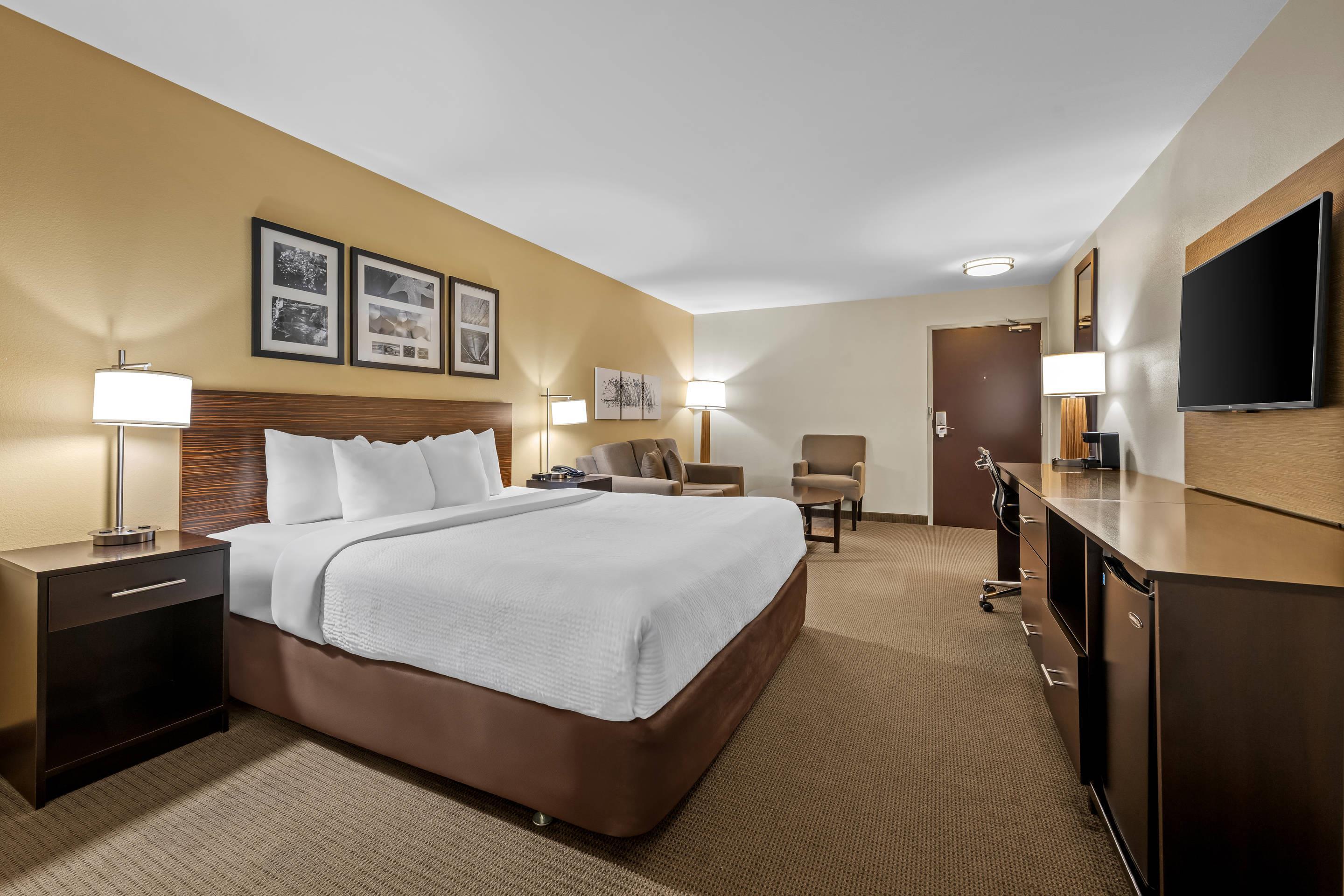 Suite, King Bed