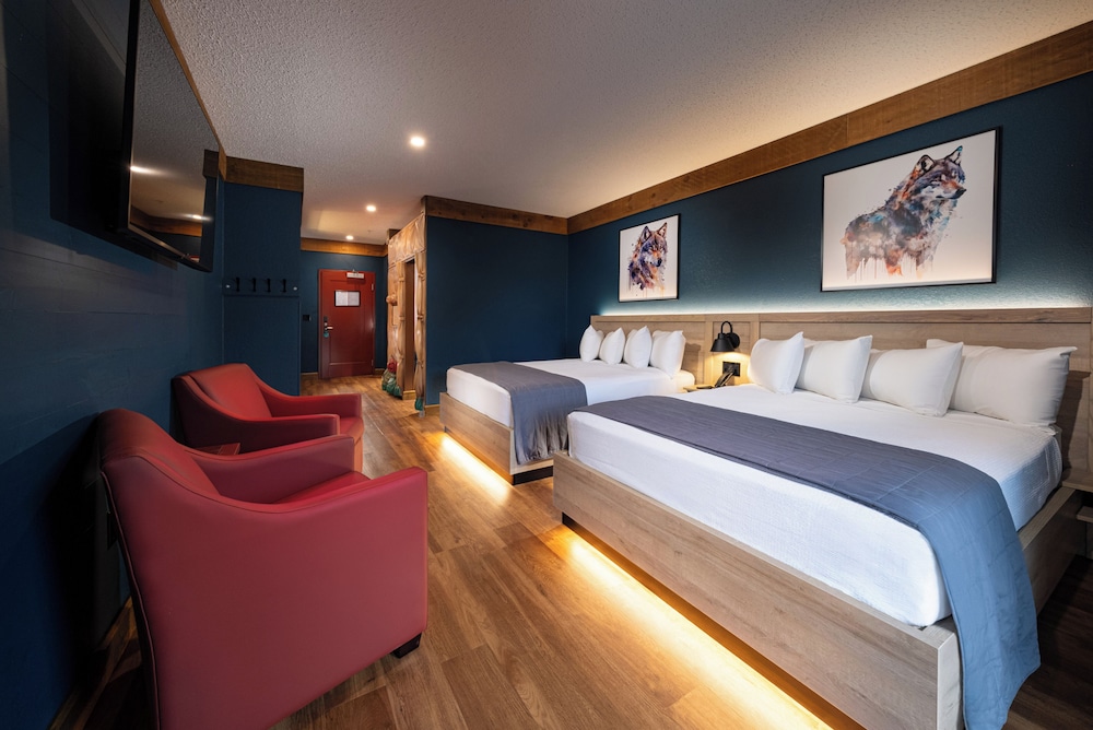 KID KAMP, DELUXE, SUITE